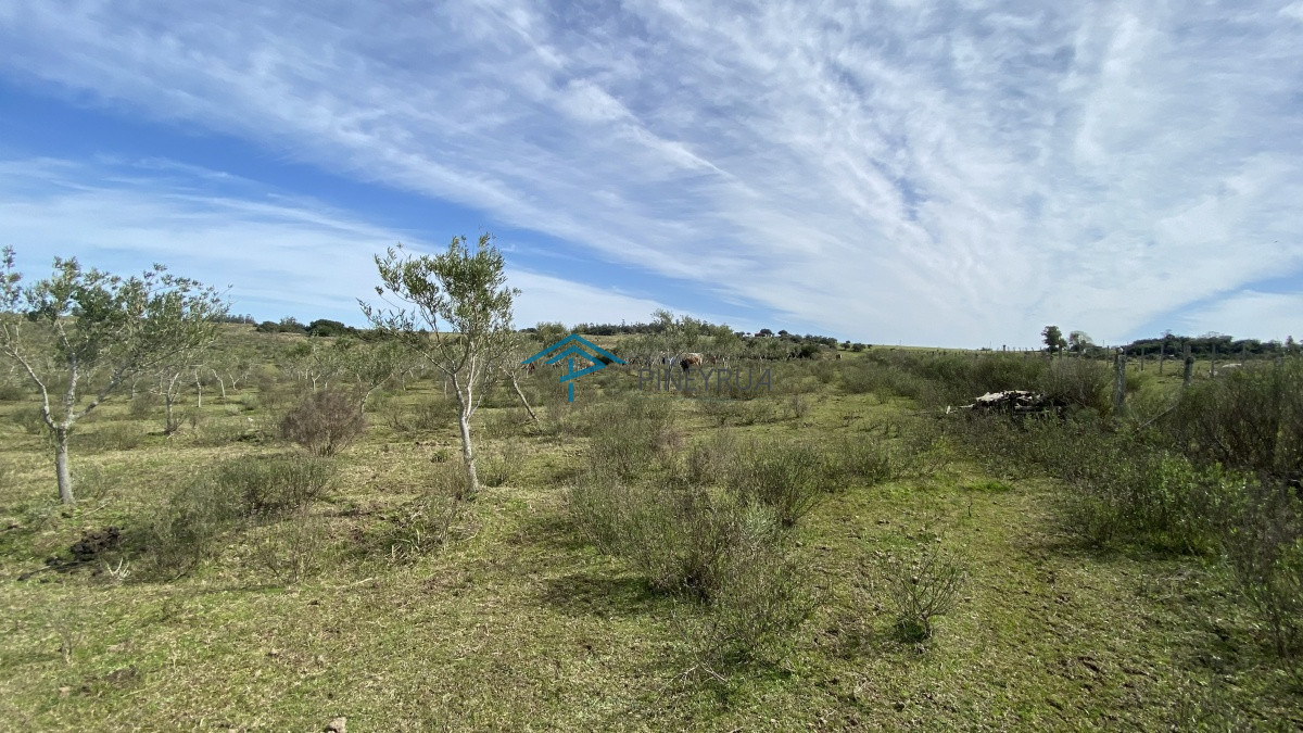 Chacra ID.182 - Oportunidad en Paraje Las Cañas !!!  