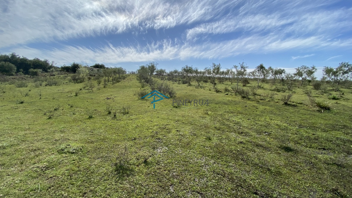 Chacra ID.182 - Oportunidad en Paraje Las Cañas !!!  