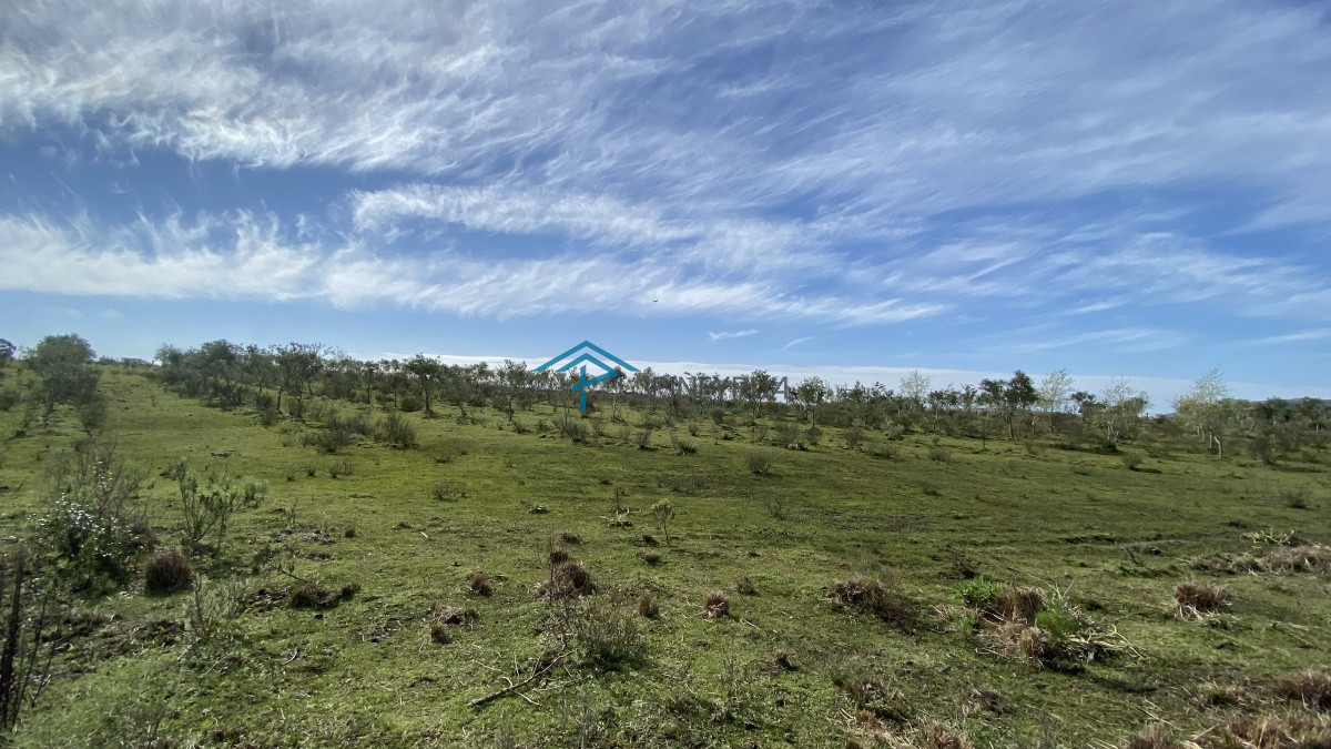 Chacra ID.182 - Oportunidad en Paraje Las Cañas !!!  