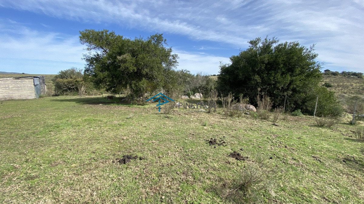 Chacra ID.182 - Oportunidad en Paraje Las Cañas !!!  
