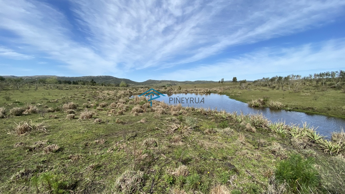 Chacra ID.182 - Oportunidad en Paraje Las Cañas !!!  