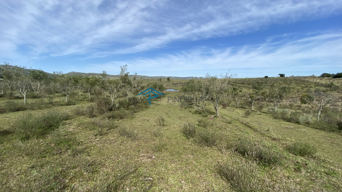 Chacra ID.182 - Oportunidad en Paraje Las Cañas !!!  