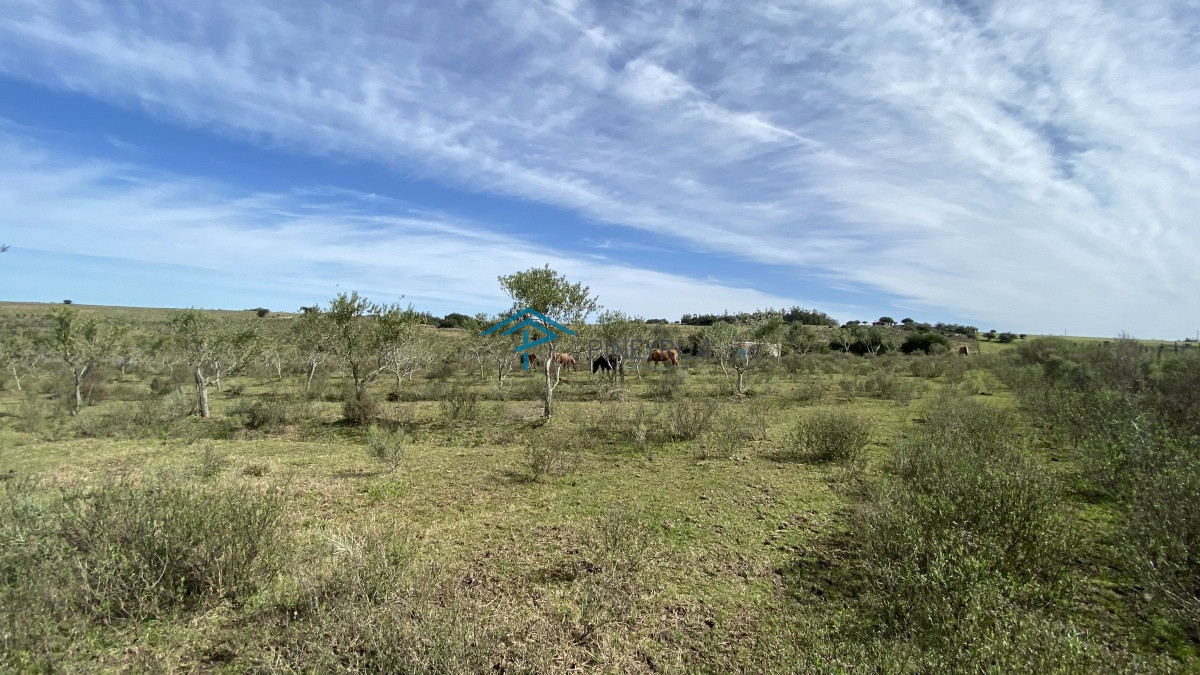 Chacra ID.182 - Oportunidad en Paraje Las Cañas !!!  