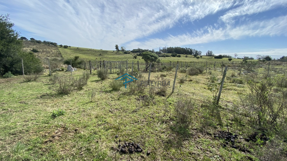 Chacra ID.182 - Oportunidad en Paraje Las Cañas !!!  