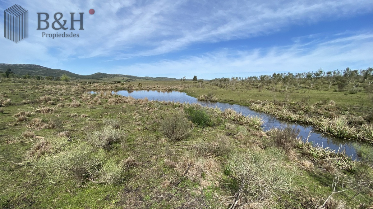 Chacra ID.653 - CHACRA!!! Oportunidad en Paraje Las Cañas !!!  