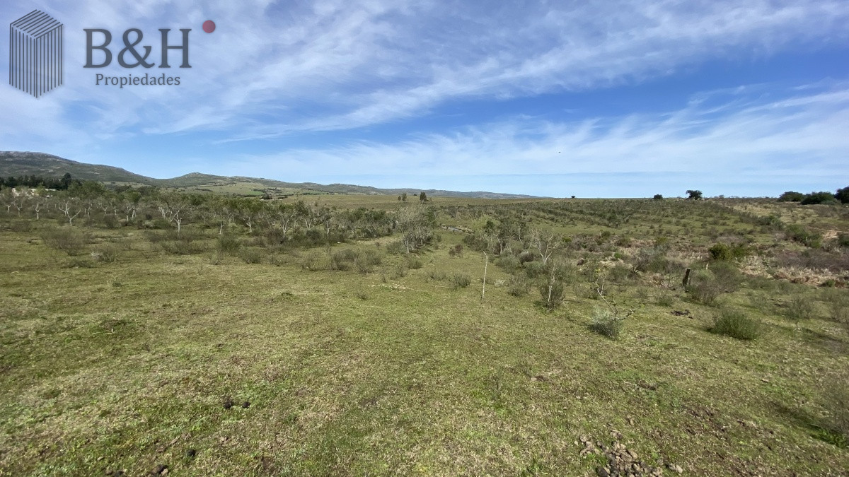 Chacra ID.653 - CHACRA!!! Oportunidad en Paraje Las Cañas !!!  