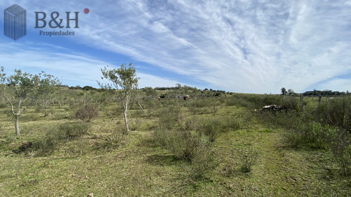 Chacra ID.653 - CHACRA!!! Oportunidad en Paraje Las Cañas !!!  
