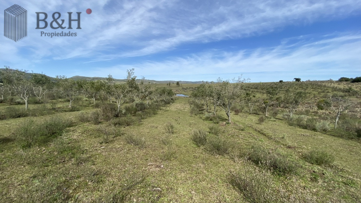 Chacra ID.653 - CHACRA!!! Oportunidad en Paraje Las Cañas !!!  