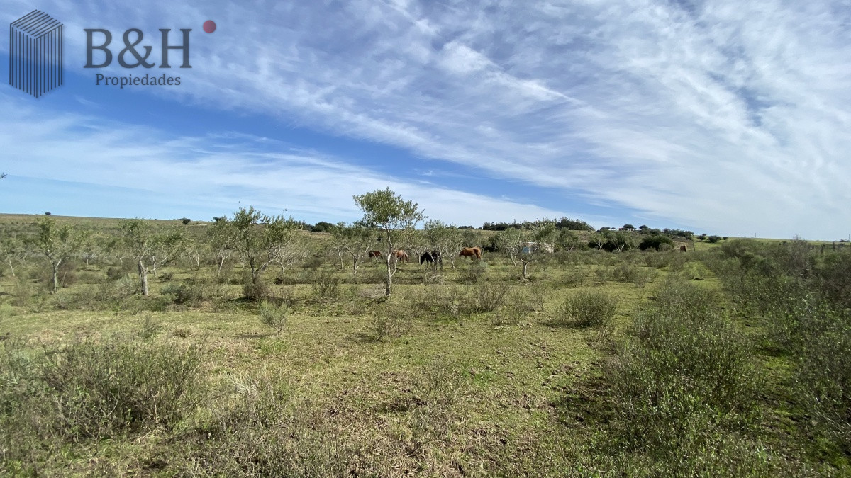 Chacra ID.653 - CHACRA!!! Oportunidad en Paraje Las Cañas !!!  