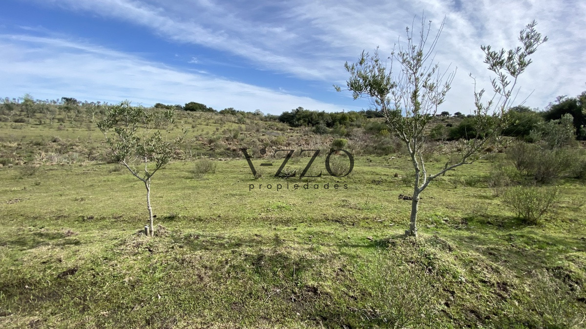Chacra ID.677/Oportunidad-en-Paraje-Las-Cañas-!!!-- - Oportunidad en Paraje Las Cañas !!!  
