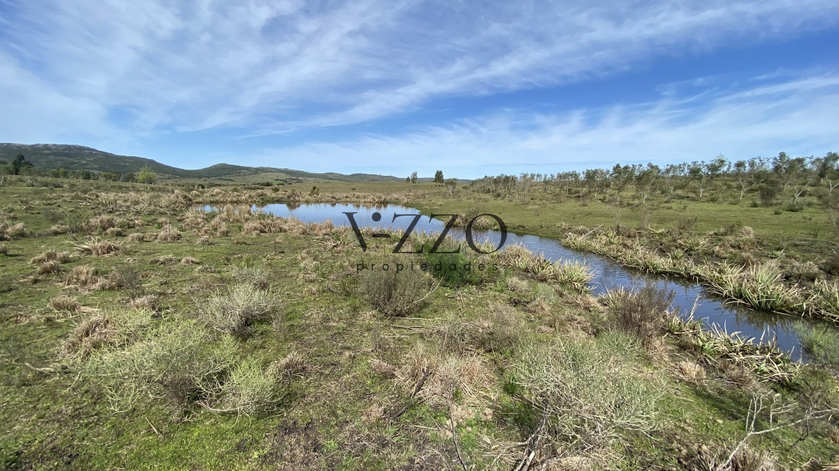 Chacra ID.677/Oportunidad-en-Paraje-Las-Cañas-!!!-- - Oportunidad en Paraje Las Cañas !!!  