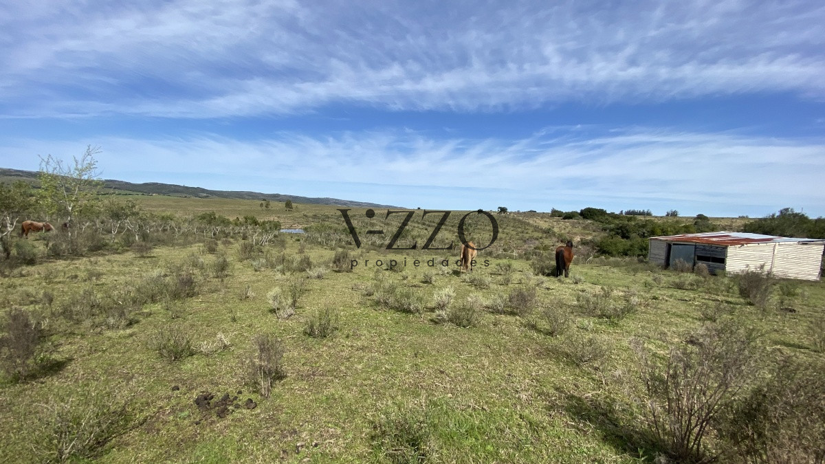 Chacra ID.677/Oportunidad-en-Paraje-Las-Cañas-!!!-- - Oportunidad en Paraje Las Cañas !!!  
