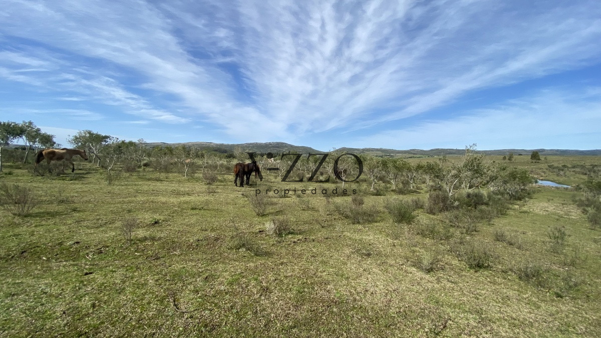 Chacra ID.677/Oportunidad-en-Paraje-Las-Cañas-!!!-- - Oportunidad en Paraje Las Cañas !!!  