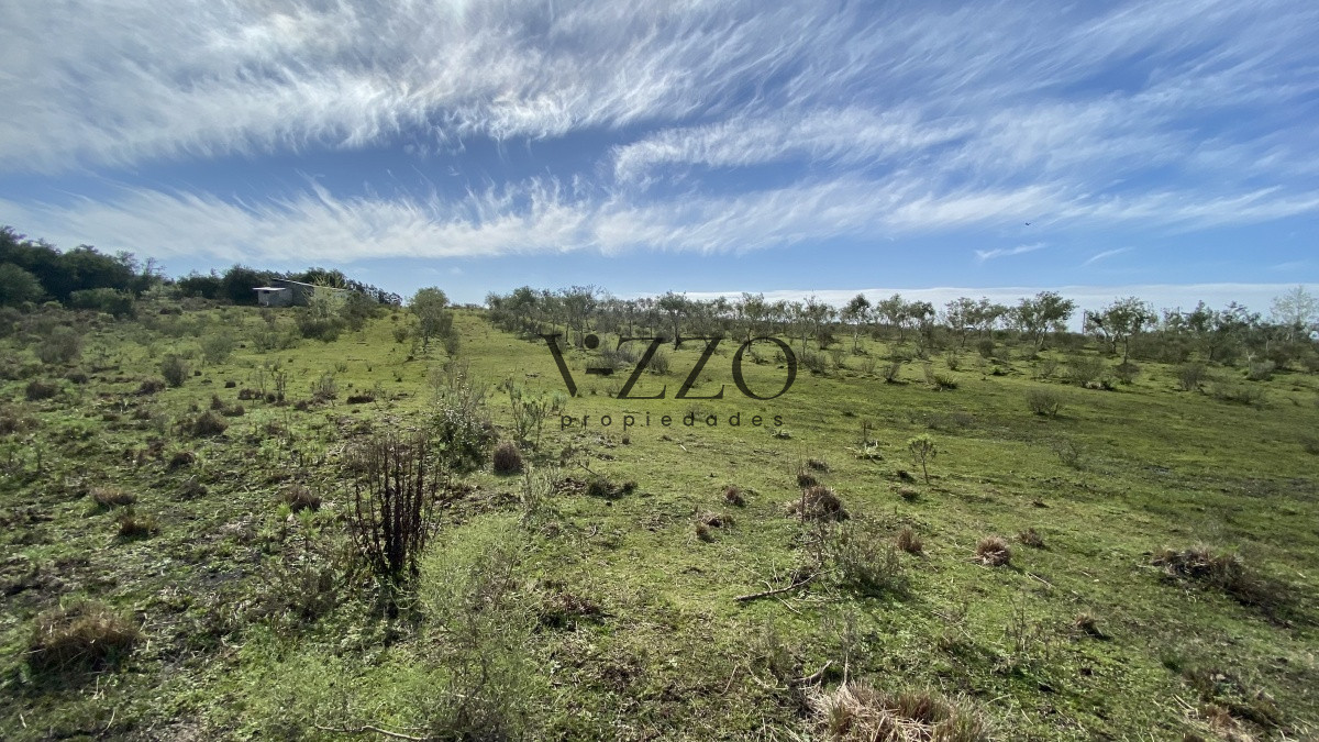 Chacra ID.677/Oportunidad-en-Paraje-Las-Cañas-!!!-- - Oportunidad en Paraje Las Cañas !!!  