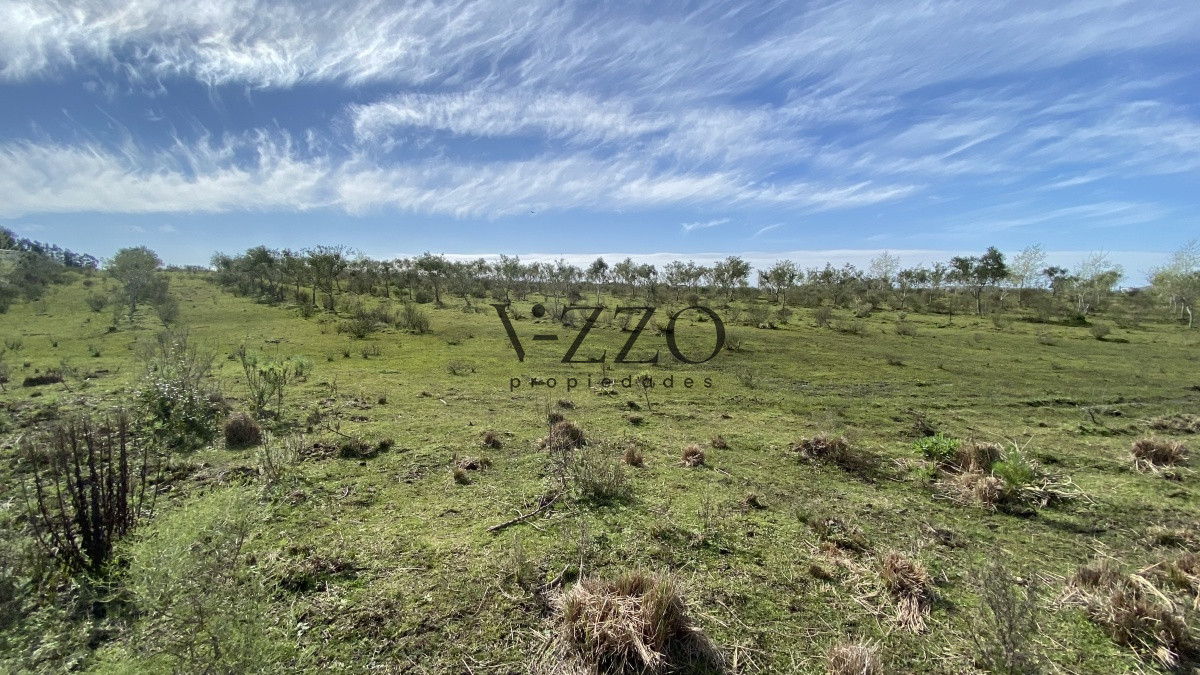 Chacra ID.677/Oportunidad-en-Paraje-Las-Cañas-!!!-- - Oportunidad en Paraje Las Cañas !!!  
