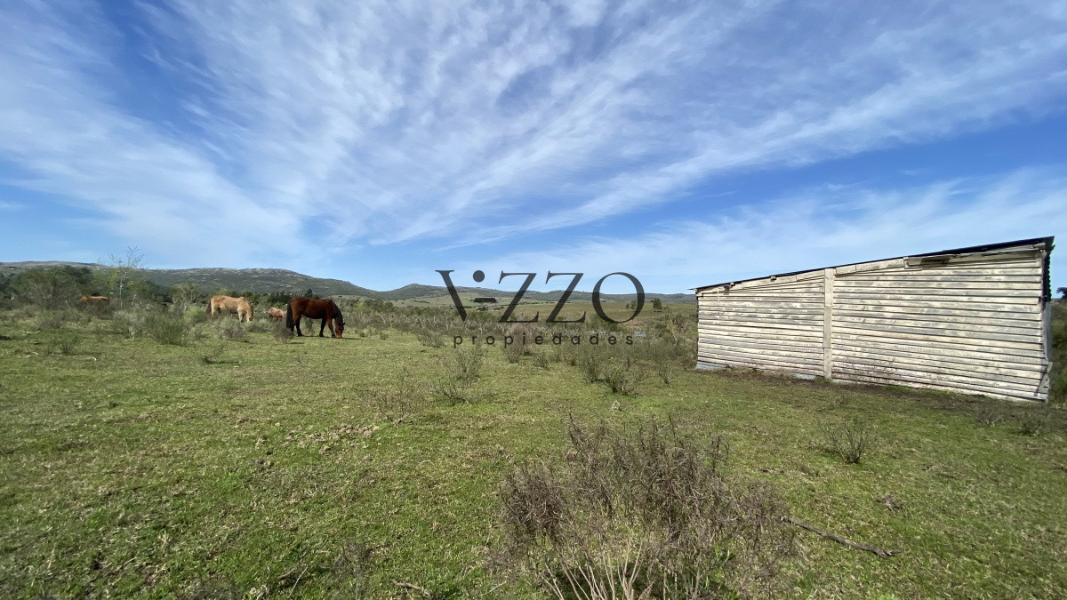 Chacra ID.677/Oportunidad-en-Paraje-Las-Cañas-!!!-- - Oportunidad en Paraje Las Cañas !!!  