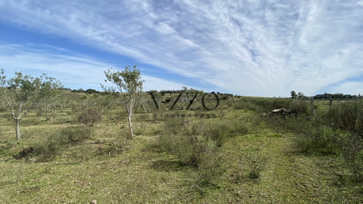 Chacra ID.677/Oportunidad-en-Paraje-Las-Cañas-!!!-- - Oportunidad en Paraje Las Cañas !!!  
