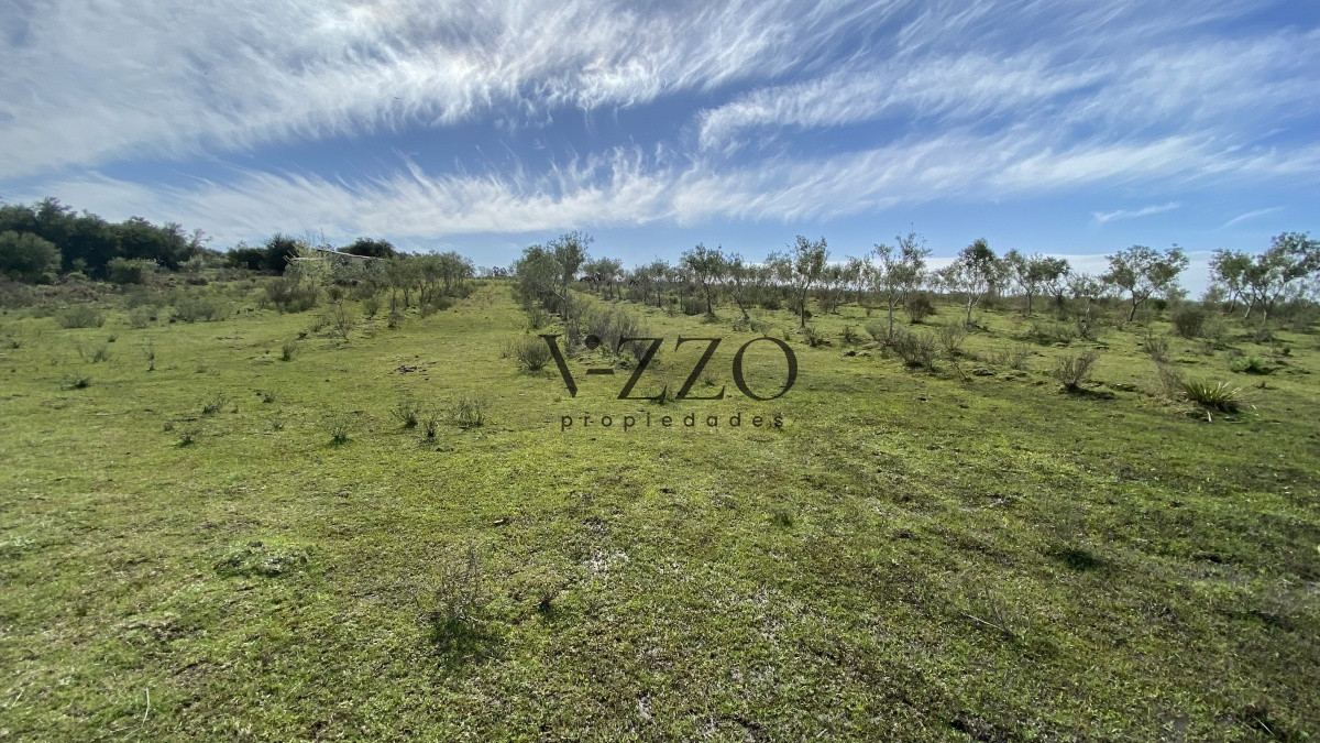 Chacra ID.677/Oportunidad-en-Paraje-Las-Cañas-!!!-- - Oportunidad en Paraje Las Cañas !!!  