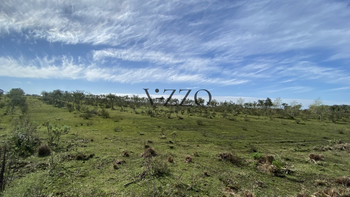 Chacra ID.677/Oportunidad-en-Paraje-Las-Cañas-!!!-- - Oportunidad en Paraje Las Cañas !!!  