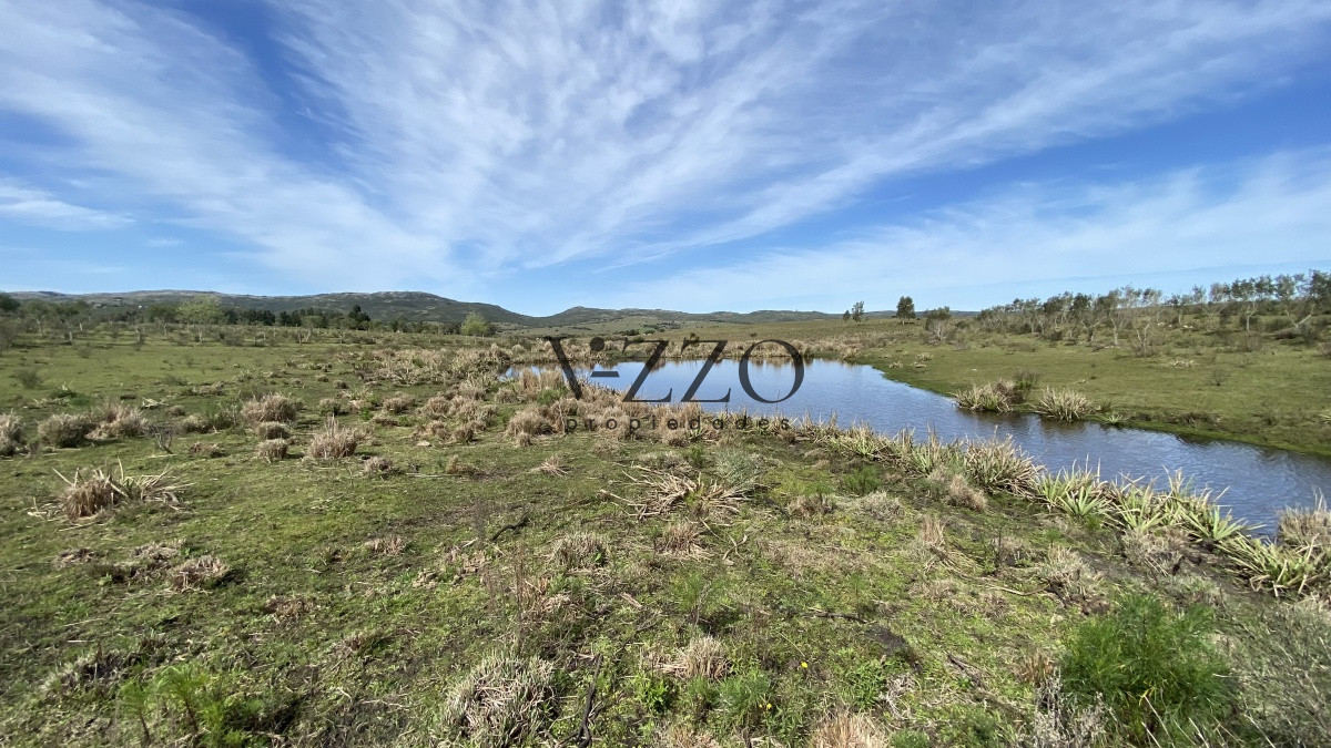 Chacra ID.677/Oportunidad-en-Paraje-Las-Cañas-!!!-- - Oportunidad en Paraje Las Cañas !!!  