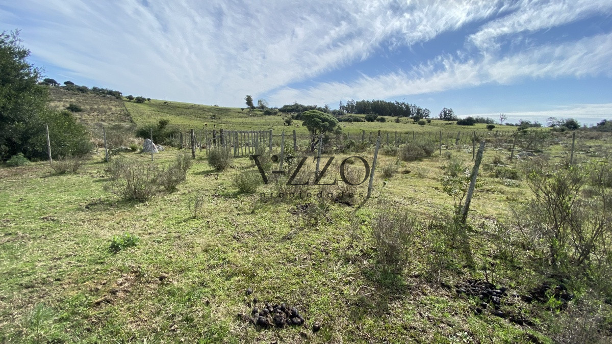 Chacra ID.677/Oportunidad-en-Paraje-Las-Cañas-!!!-- - Oportunidad en Paraje Las Cañas !!!  