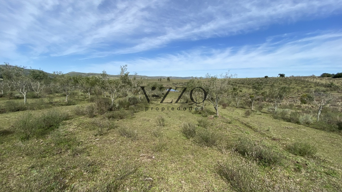 Chacra ID.677/Oportunidad-en-Paraje-Las-Cañas-!!!-- - Oportunidad en Paraje Las Cañas !!!  