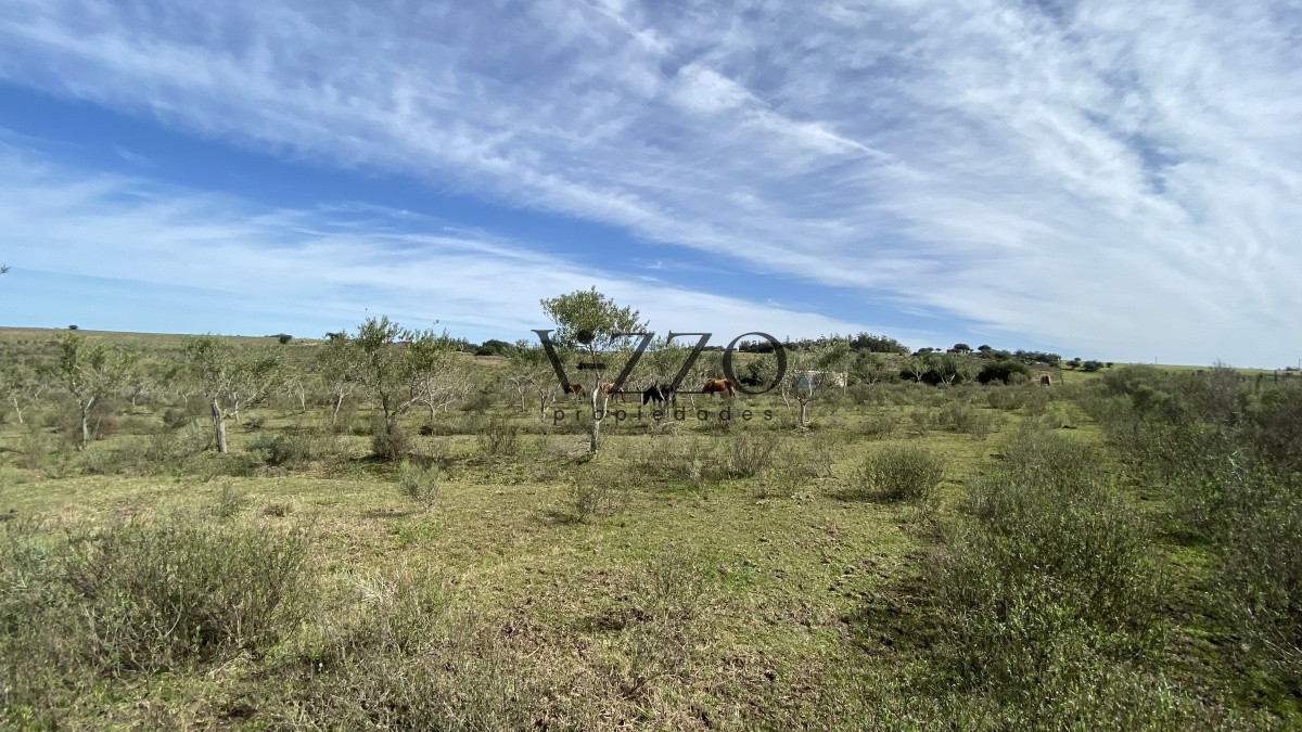 Chacra ID.677/Oportunidad-en-Paraje-Las-Cañas-!!!-- - Oportunidad en Paraje Las Cañas !!!  
