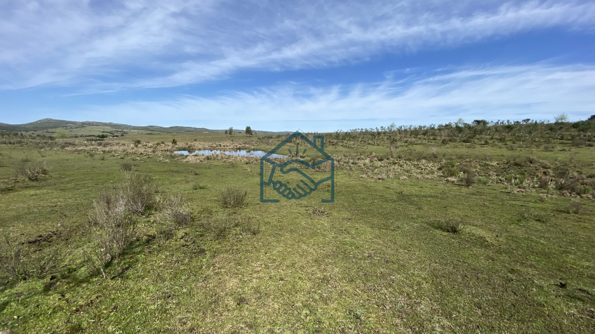 Chacra ID.677/Oportunidad-en-Paraje-Las-Cañas-!!!-- - Oportunidad en Paraje Las Cañas !!!  
