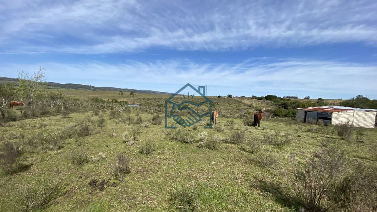 Chacra ID.677/Oportunidad-en-Paraje-Las-Cañas-!!!-- - Oportunidad en Paraje Las Cañas !!!  