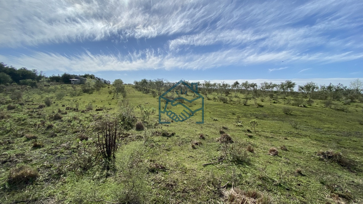 Chacra ID.677/Oportunidad-en-Paraje-Las-Cañas-!!!-- - Oportunidad en Paraje Las Cañas !!!  
