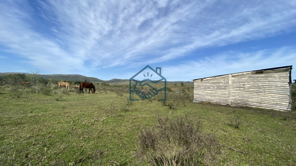 Chacra ID.677/Oportunidad-en-Paraje-Las-Cañas-!!!-- - Oportunidad en Paraje Las Cañas !!!  