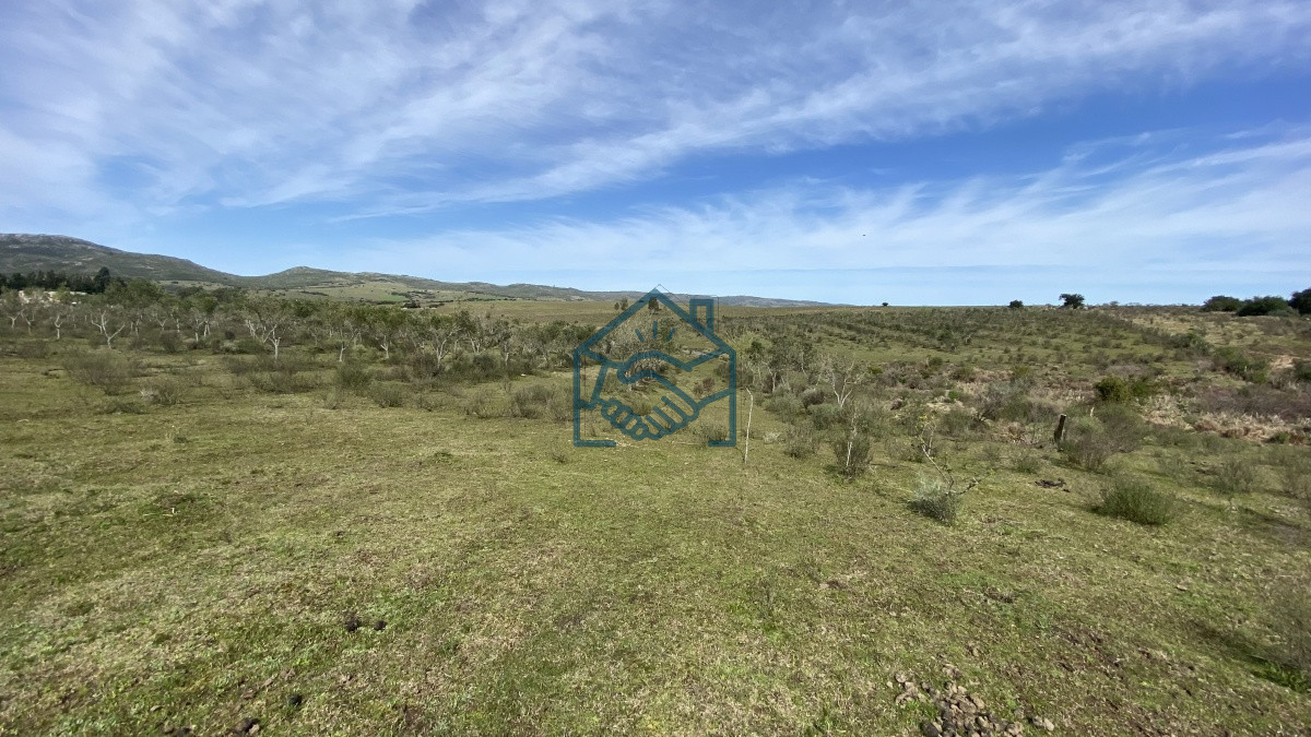 Chacra ID.677/Oportunidad-en-Paraje-Las-Cañas-!!!-- - Oportunidad en Paraje Las Cañas !!!  