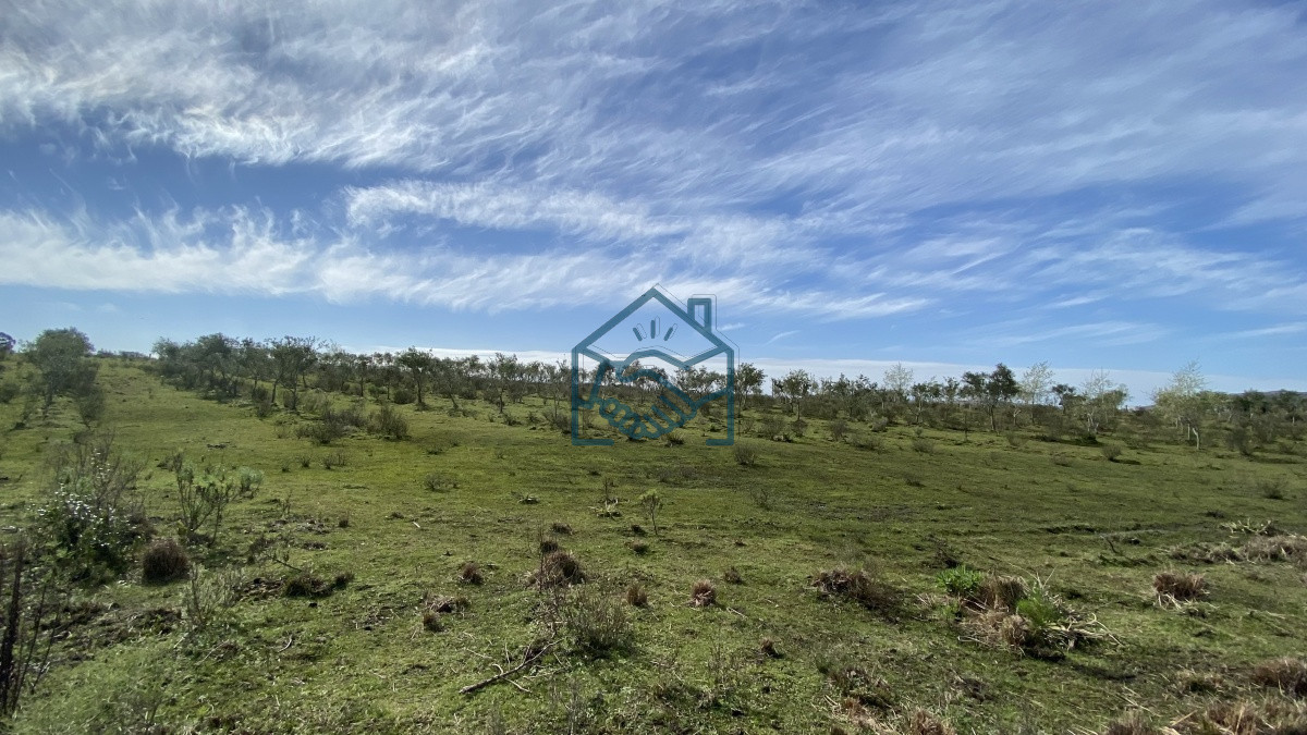 Chacra ID.677/Oportunidad-en-Paraje-Las-Cañas-!!!-- - Oportunidad en Paraje Las Cañas !!!  