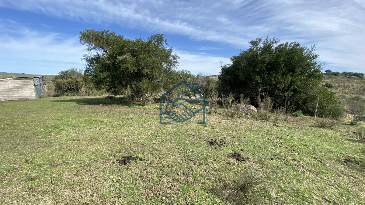 Chacra ID.677/Oportunidad-en-Paraje-Las-Cañas-!!!-- - Oportunidad en Paraje Las Cañas !!!  