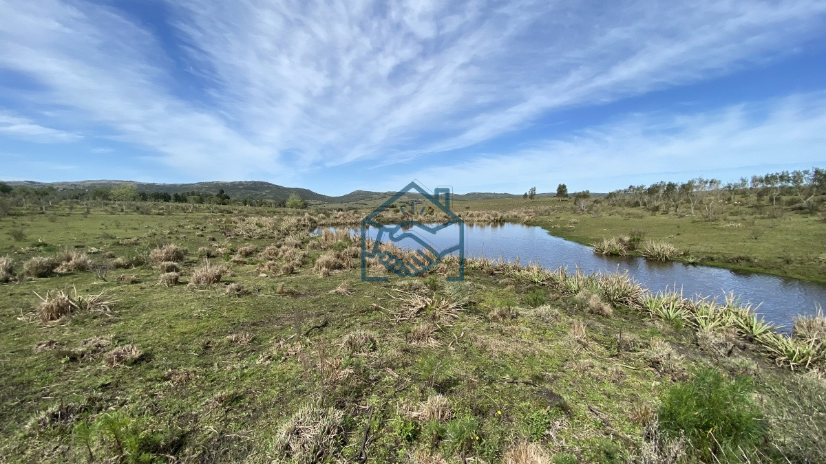 Chacra ID.677/Oportunidad-en-Paraje-Las-Cañas-!!!-- - Oportunidad en Paraje Las Cañas !!!  