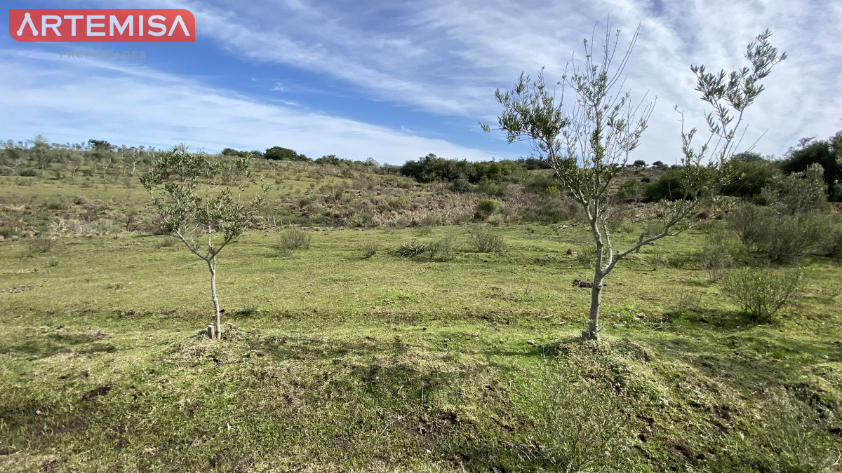 Chacra ID.467 - Oportunidad en Paraje Las Cañas !!!  