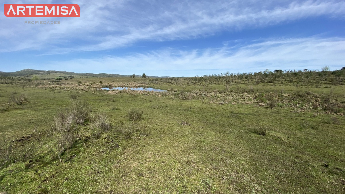 Chacra ID.467 - Oportunidad en Paraje Las Cañas !!!  
