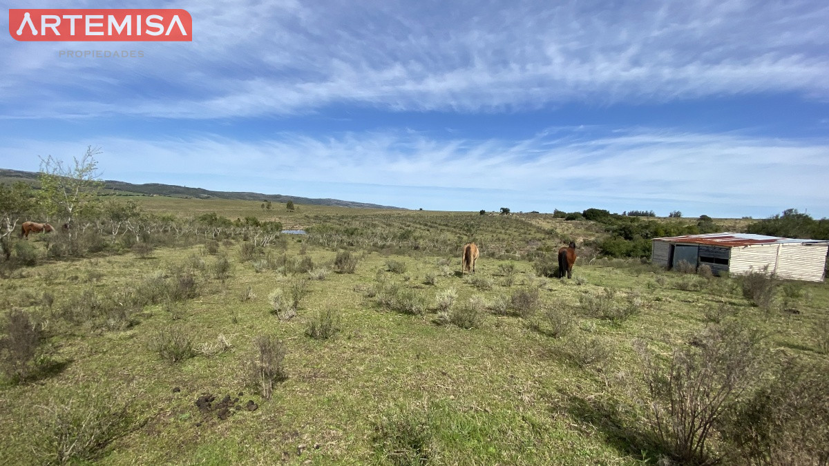 Chacra ID.467 - Oportunidad en Paraje Las Cañas !!!  