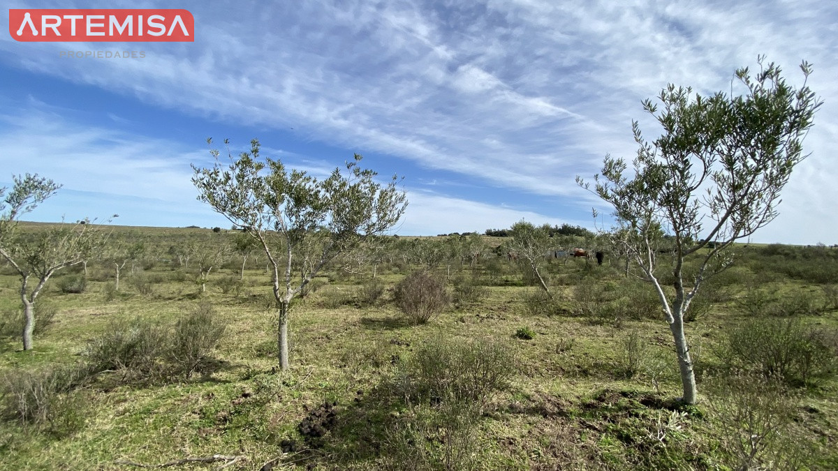 Chacra ID.467 - Oportunidad en Paraje Las Cañas !!!  