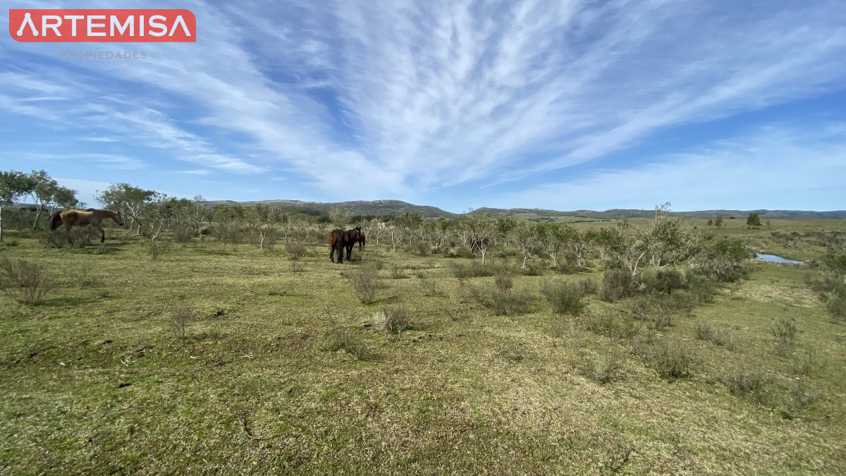 Chacra ID.467 - Oportunidad en Paraje Las Cañas !!!  