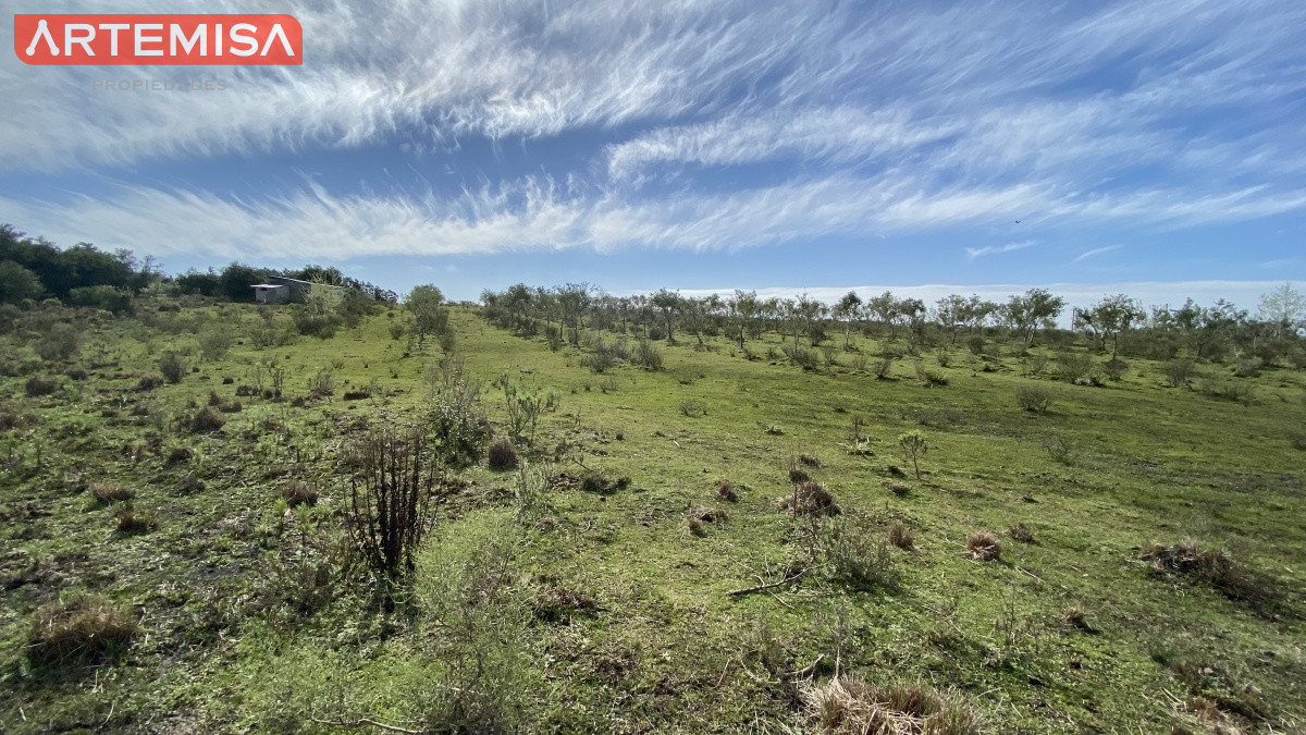 Chacra ID.467 - Oportunidad en Paraje Las Cañas !!!  