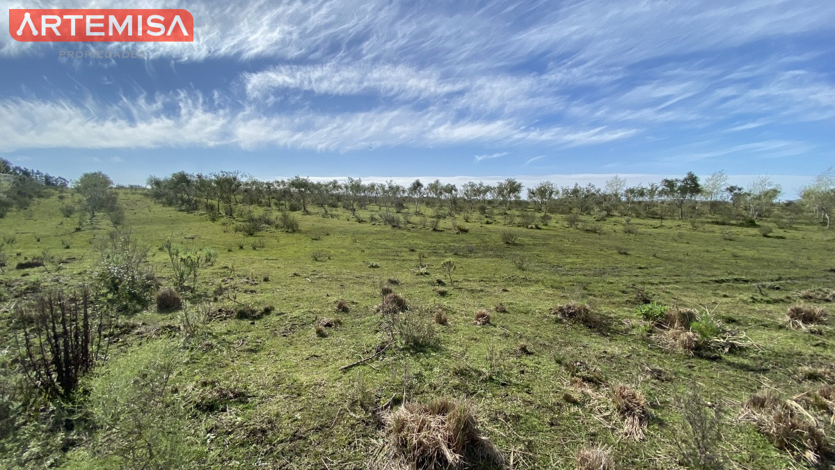 Chacra ID.467 - Oportunidad en Paraje Las Cañas !!!  