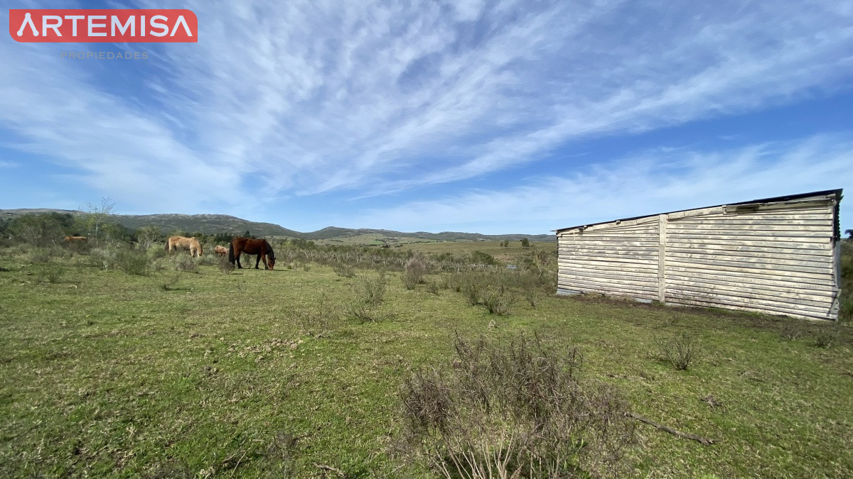 Chacra ID.467 - Oportunidad en Paraje Las Cañas !!!  