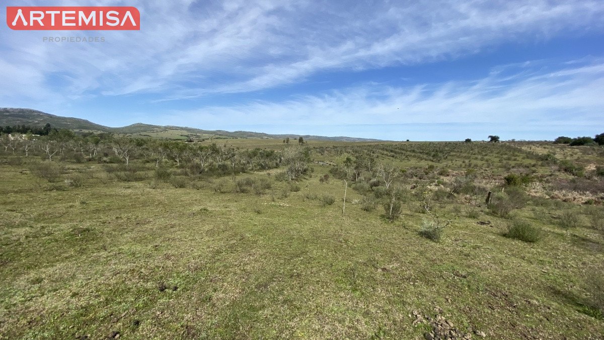 Chacra ID.467 - Oportunidad en Paraje Las Cañas !!!  