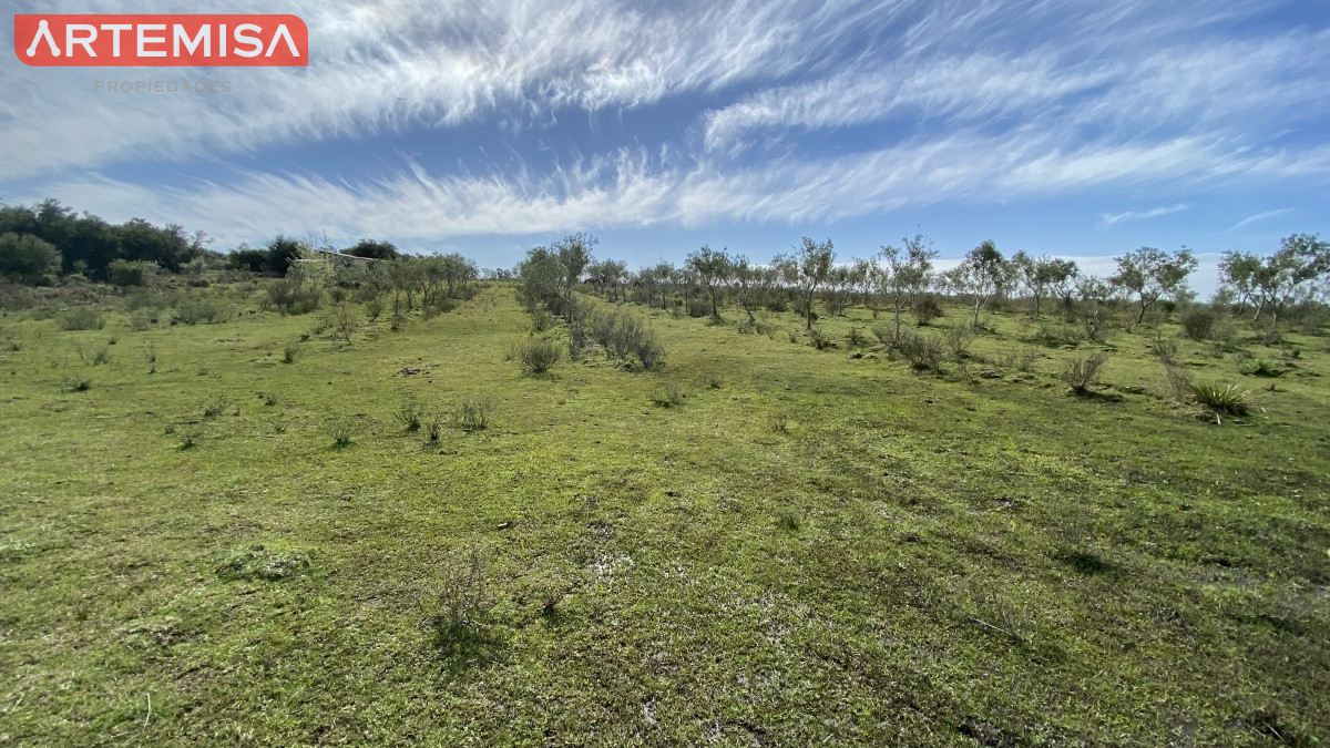 Chacra ID.467 - Oportunidad en Paraje Las Cañas !!!  