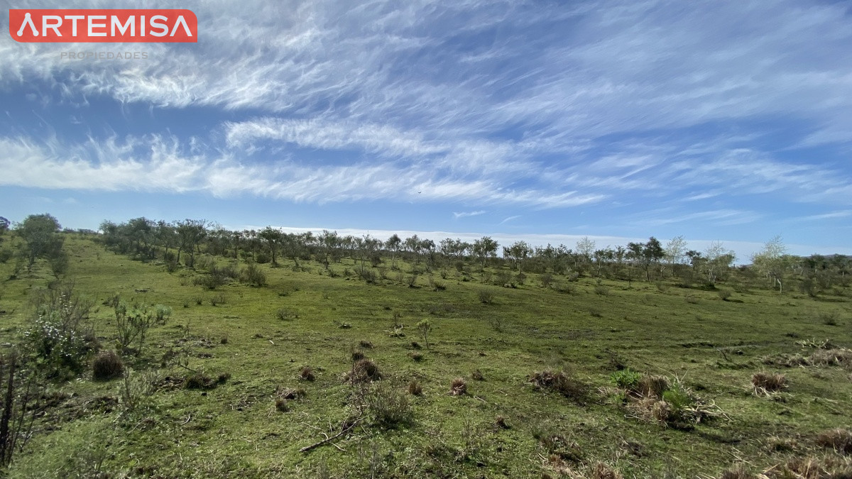 Chacra ID.467 - Oportunidad en Paraje Las Cañas !!!  