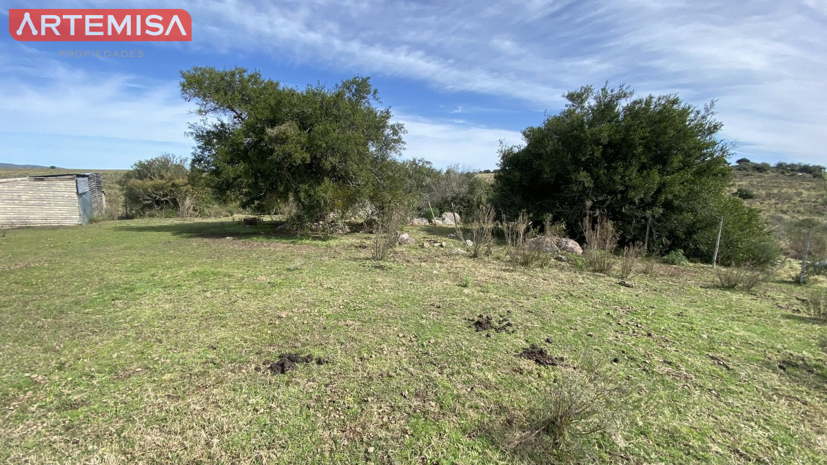 Chacra ID.467 - Oportunidad en Paraje Las Cañas !!!  