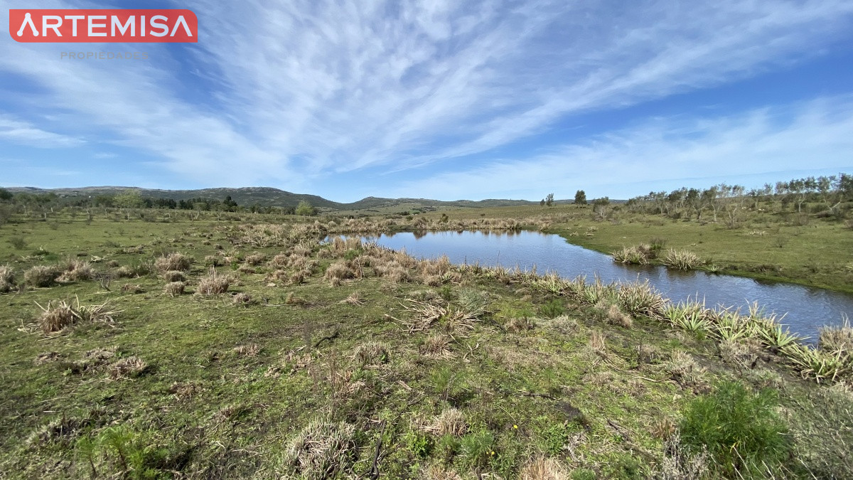 Chacra ID.467 - Oportunidad en Paraje Las Cañas !!!  