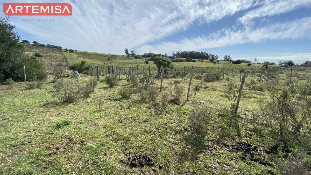 Chacra ID.467 - Oportunidad en Paraje Las Cañas !!!  