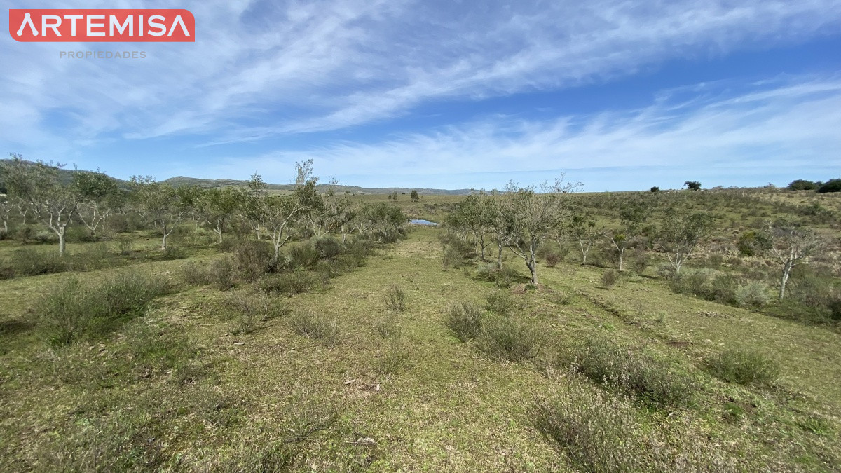 Chacra ID.467 - Oportunidad en Paraje Las Cañas !!!  